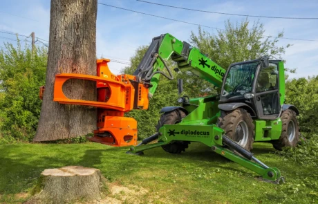 Abattage mécanisé d’un arbre avec grue télescopique