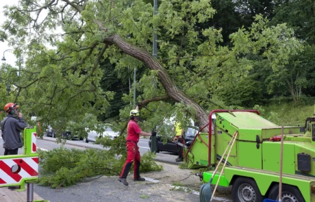 Acheminement d’un tronc via une grue vers la broyeuse