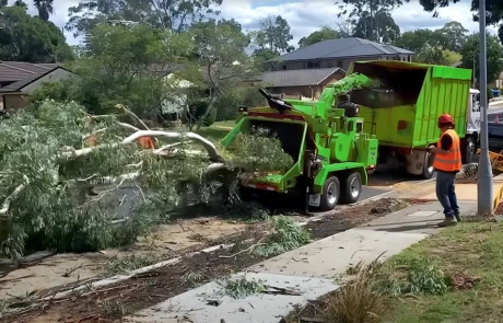 Broyage d’un grand arbre sur la voie publique