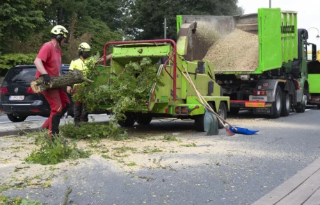Chargement de branches dans la broyeuse