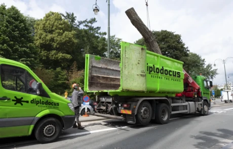 Chargement d’un tronc à l’aide d’une grue