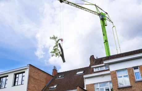 Grutage d’un tronc au-dessus des toits urbains