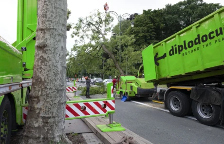 Guidage du grutier depuis le sol