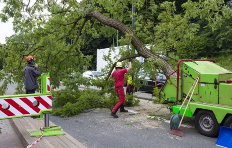 Manipulation manuelle d’un tronc pour broyage