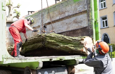 Positionnement manuel d’un tronc dans la benne