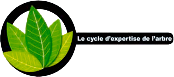 arbo expert logo