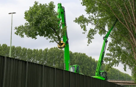 démontage arbre le long de route
