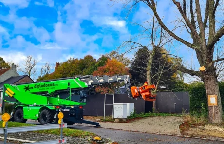 Abattage d’un arbre avec le bras télescopique Diplodocus équipé d’un Woodcracker