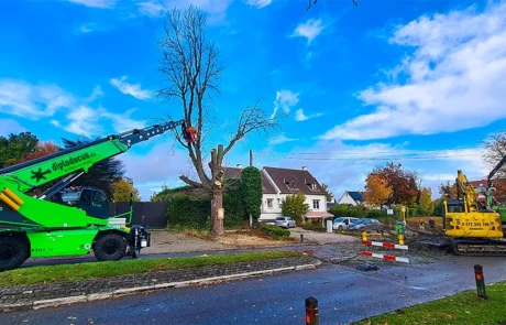 Abattage et broyage d’arbres en milieu urbain avec grue télescopique Diplodocus