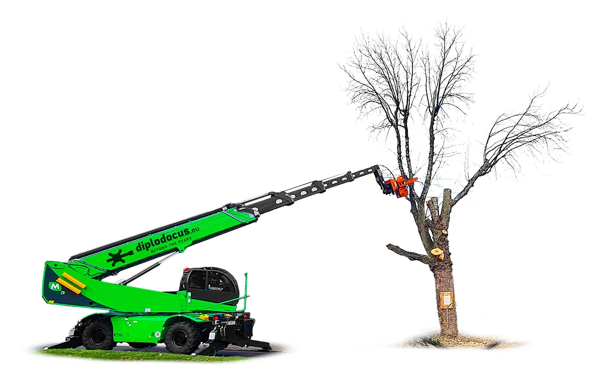 Abattage sécurisé d’un arbre avec une grue télescopique Diplodocus