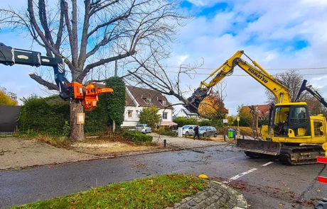 Abattage mécanisé en zone urbaine avec Diplodocus