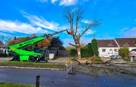 Abattage sécurisé en ville avec l'abatteuse Diplodocus