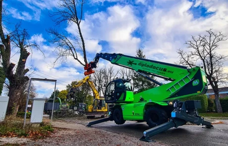 Abattage urbain avec pelle Komatsu et Diplodocus