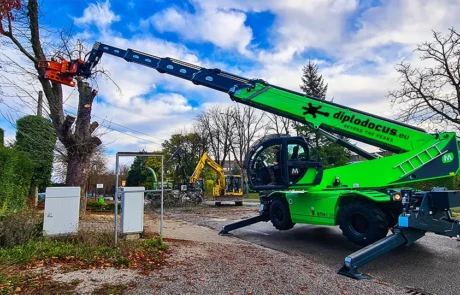 Abatteuse Diplodocus effectuant une coupe en hauteur sécurisée