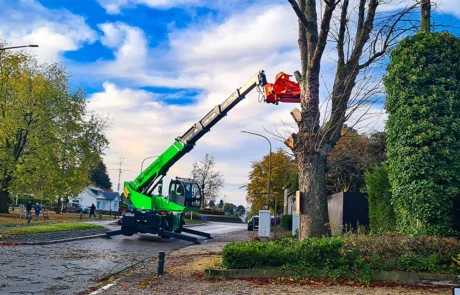 Abatteuse télescopique Diplodocus en action sur un arbre en milieu urbain