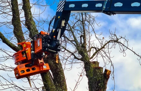 Bras articulé Diplodocus équipé d’un Woodcracker saisissant un tronc