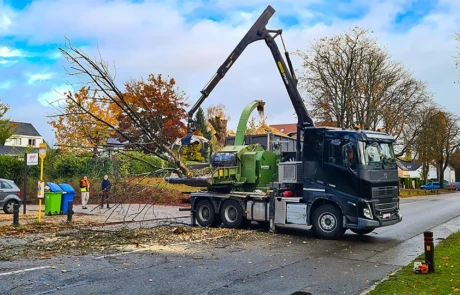 Broyeuse forestière transformant branches et troncs en plaquettes