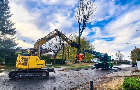 Abattage d’arbre avec abatteuse télescopique Diplodocus et pelle Komatsu