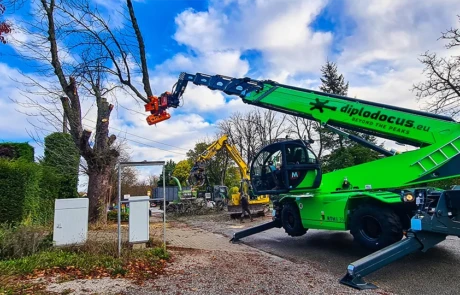 Abatteuse télescopique Diplodocus en action