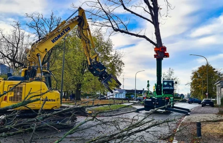 Élagage mécanisé coordonné entre Diplodocus et pelle Komatsu