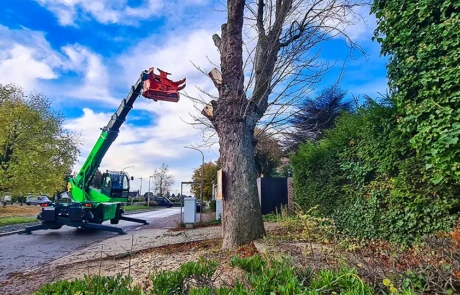 Élagage mécanisé avec bras télescopique Diplodocus