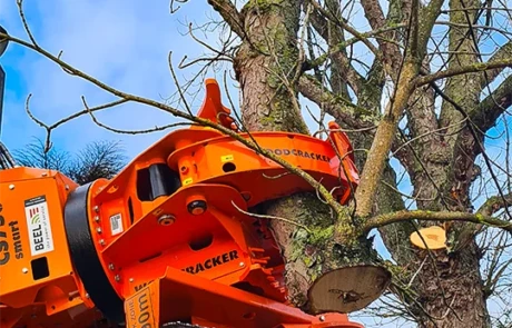 Grappin Woodcracker tenant une branche charpentière après la découpe