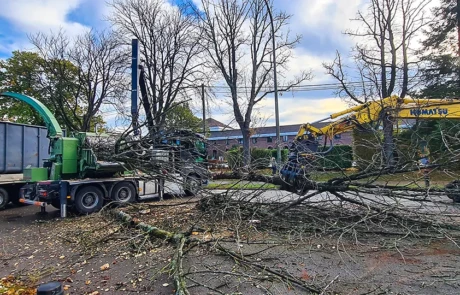 Coopération entre pelle Komatsu et camion broyeur pour plaquettes de bois