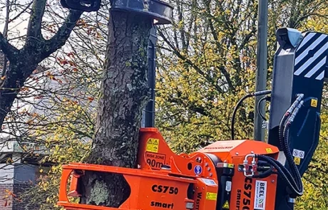 Pince Woodcracker après coupe sur le tronc d’un arbre avec la grue Diplodocus